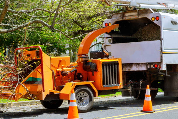 Best Tree Mulching  in Zeigler, IL